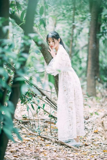 镜花缘小说